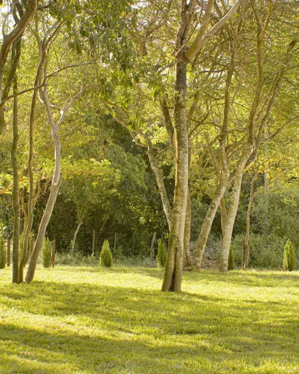 Foto real del predio
